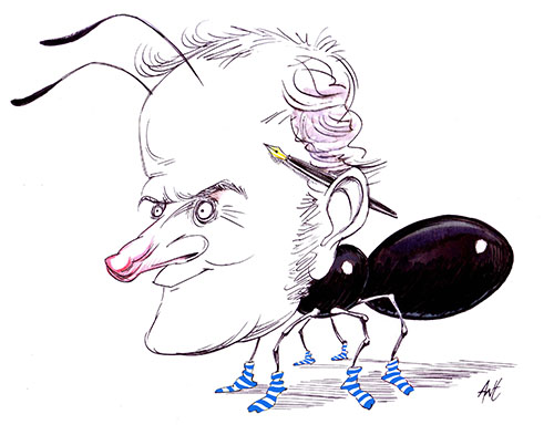 Avatar de Ant